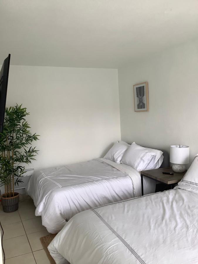 Hotel Motel Lauderdale Inn Fort Lauderdale Dış mekan fotoğraf